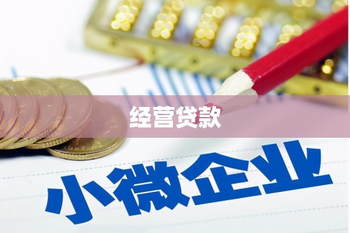 江海经营贷款