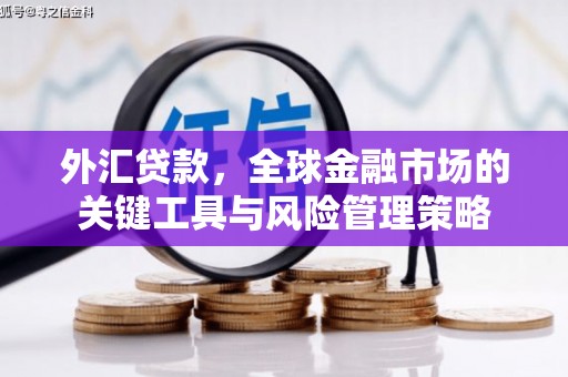 江海外汇贷款，全球金融市场的关键工具与风险管理策略