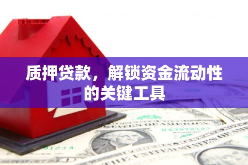 江海质押贷款，解锁资金流动性的关键工具