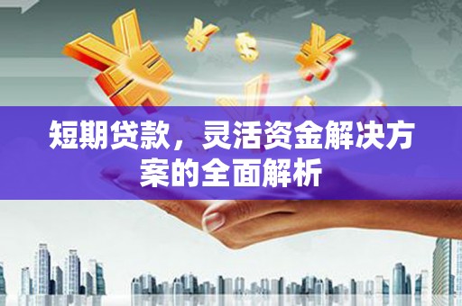 江海短期贷款，灵活资金解决方案的全面解析