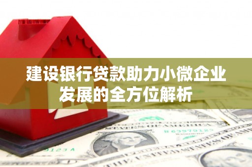 江海建设银行贷款助力小微企业发展的全方位解析