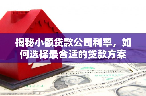 江海揭秘小额贷款公司利率，如何选择最合适的贷款方案