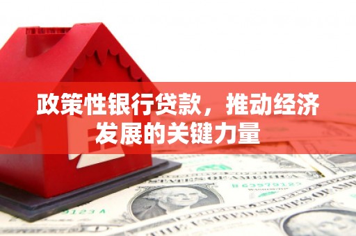 江海政策性银行贷款，推动经济发展的关键力量