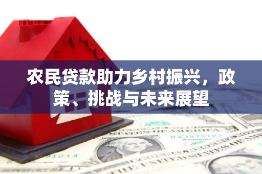 江海农民贷款助力乡村振兴，政策、挑战与未来展望