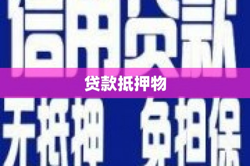 江海贷款抵押物