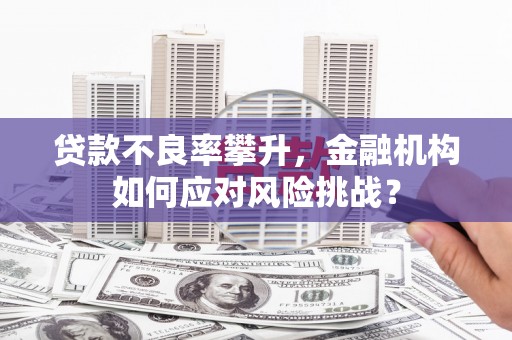 江海贷款不良率攀升，金融机构如何应对风险挑战？