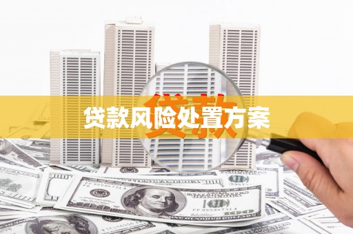 江海贷款风险处置方案