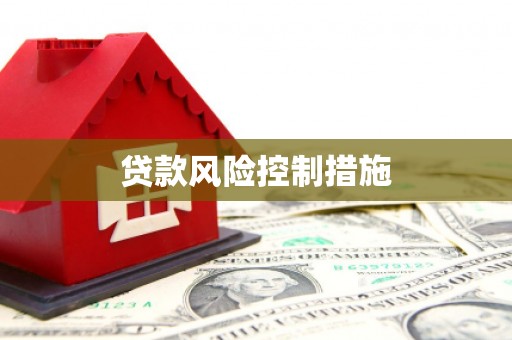 江海贷款风险控制措施