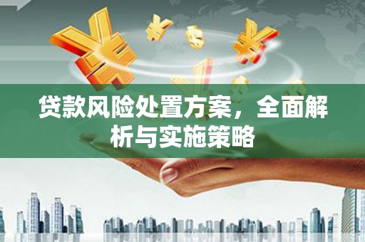 江海贷款风险处置方案，全面解析与实施策略