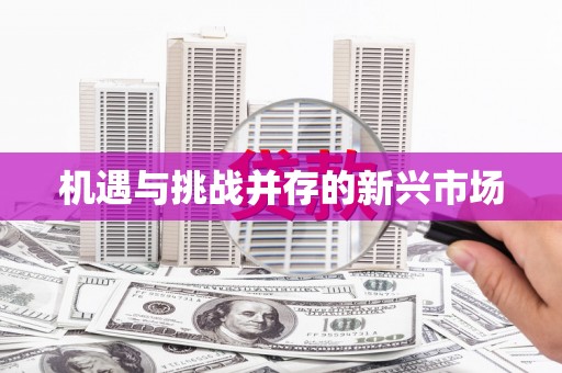 江海机遇与挑战并存的新兴市场