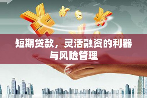 江海短期贷款，灵活融资的利器与风险管理