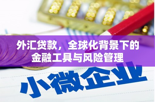 江海外汇贷款，全球化背景下的金融工具与风险管理