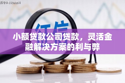 江海小额贷款公司贷款，灵活金融解决方案的利与弊