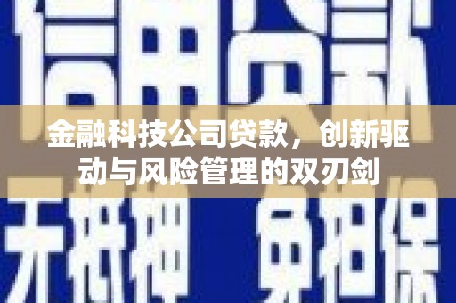 江海金融科技公司贷款，创新驱动与风险管理的双刃剑